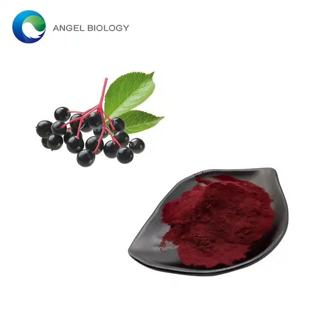Black Elderberry Extract Powder Safe Daily Intake Guide
